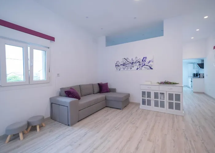 Cerca De La Playa 公寓 圣克鲁斯德韦萨纳